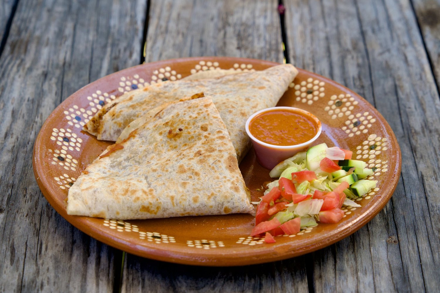 Itaa’s Chihuahua-style montado